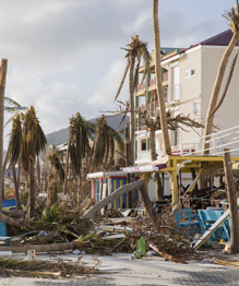 Зона стихийного бедствия и грабежей